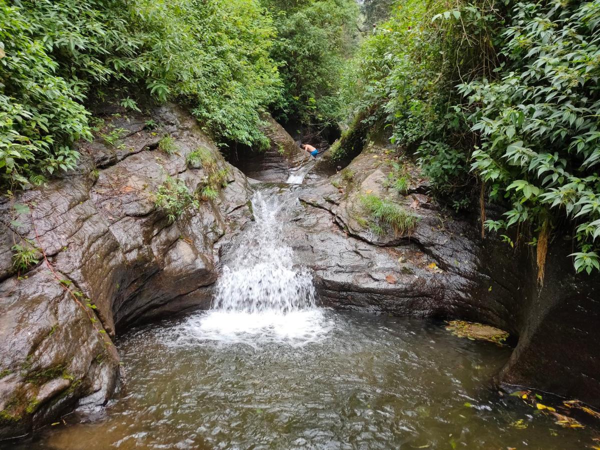 Villoonnickal Homestay Munnar Ngoại thất bức ảnh
